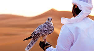 Abu Dhabi Falcon Hospital